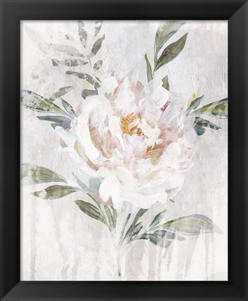 Framed Abstract Peony Print