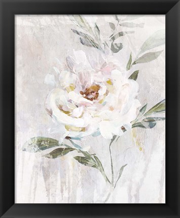 Framed Abstract Peony II Print