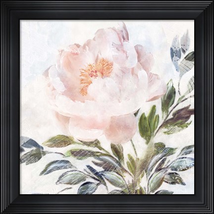 Framed Peony Melody Print