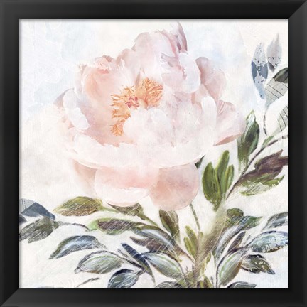 Framed Peony Melody Print