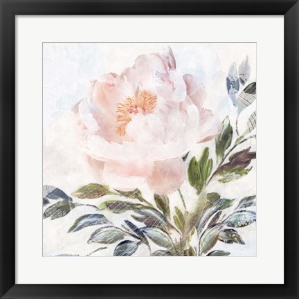 Framed Peony Melody Print