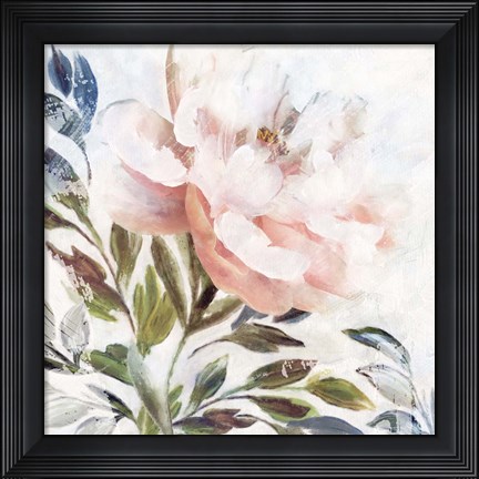 Framed Peony Melody II Print