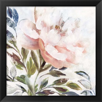 Framed Peony Melody II Print