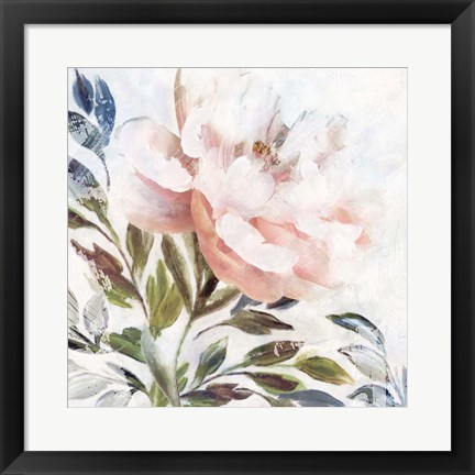 Framed Peony Melody II Print