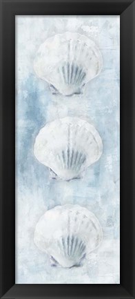 Framed Sea Shells Print