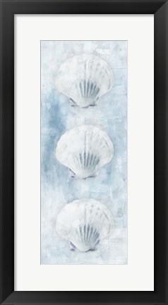 Framed Sea Shells Print