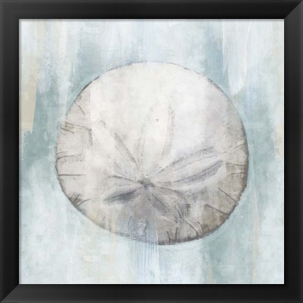 Framed Sand Dollar Print