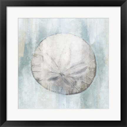 Framed Sand Dollar Print