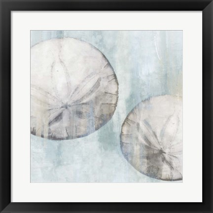 Framed Sand Dollars Print