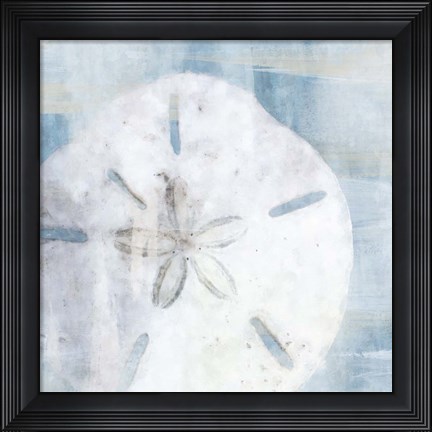 Framed Sand Dollar II Print