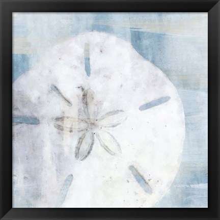 Framed Sand Dollar II Print