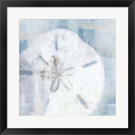 Framed Sand Dollar II Print