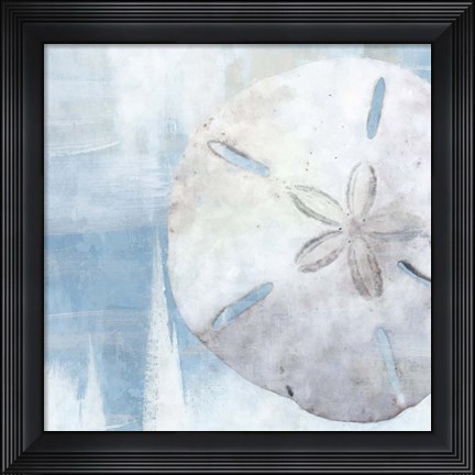 Framed Sand Dollar III Print