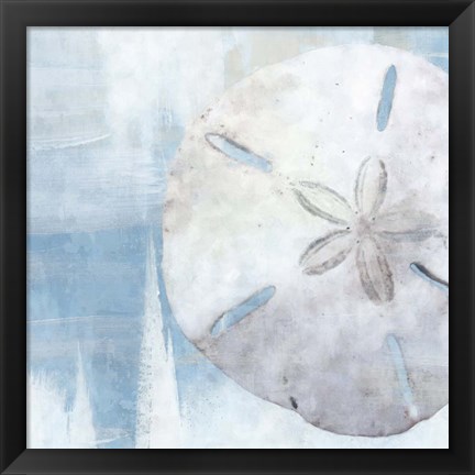 Framed Sand Dollar III Print