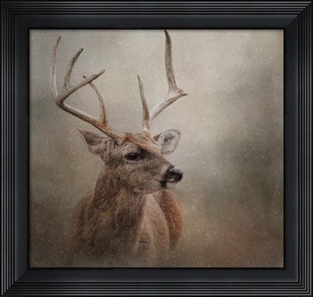 Framed Winter Messenger Print