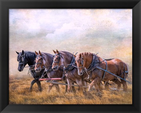 Framed Four Horse Power Print