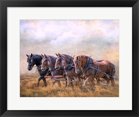 Framed Four Horse Power Print