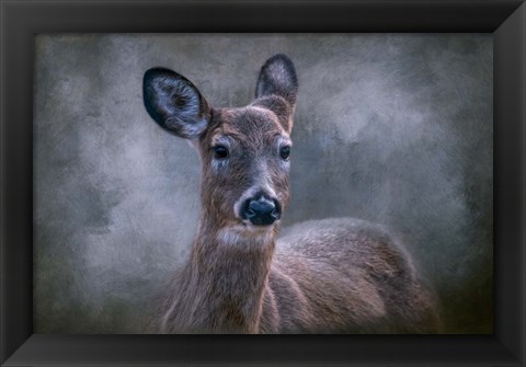 Framed Wild Beauty Print