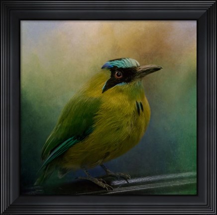Framed Colorful Charmer Print