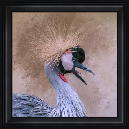 Framed Crowned Print