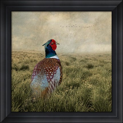 Framed Have a Very Pheasant Day Print