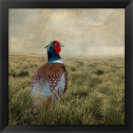 Framed Have a Very Pheasant Day Print