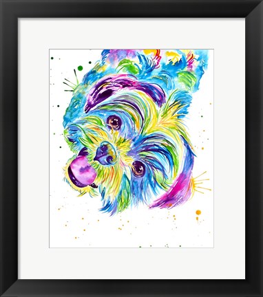 Framed Louie the Colorful Shitzhu Print