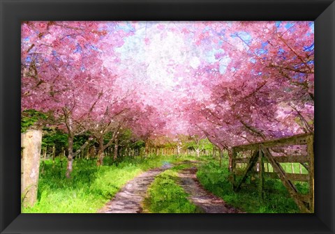 Framed Cherry Blossom Lane Print