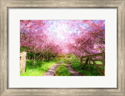 Framed Cherry Blossom Lane Print
