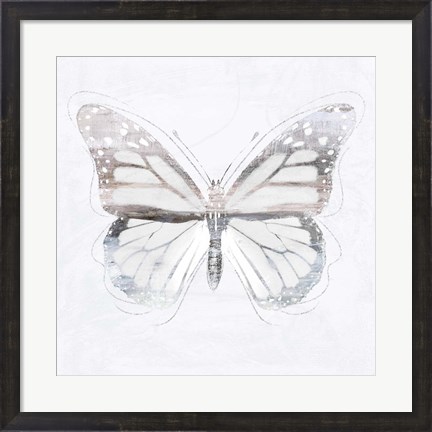 Framed Silver Butterfly II Print