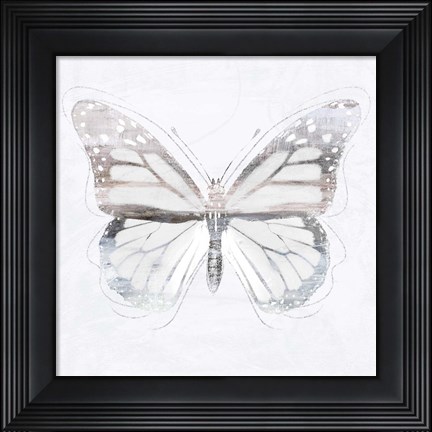 Framed Silver Butterfly II Print