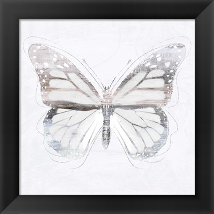 Framed Silver Butterfly II Print