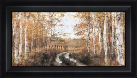 Framed Rusted Hearth Birch Trees II Print