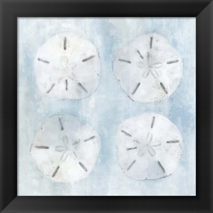 Framed Sand Dollars II Print