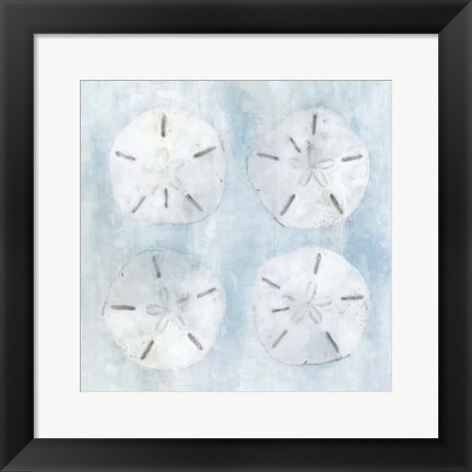 Framed Sand Dollars II Print