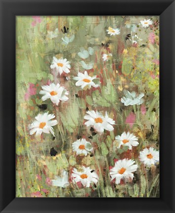 Framed Daisy Field I Print