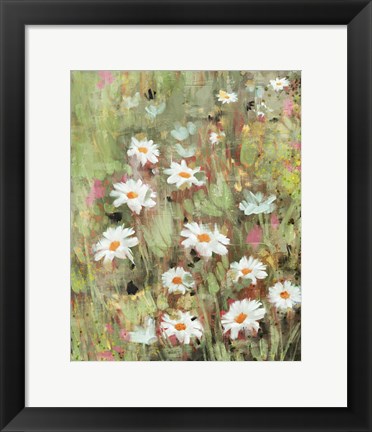 Framed Daisy Field I Print