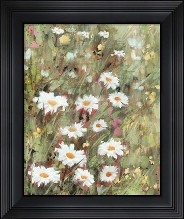Framed Daisy Field II Print