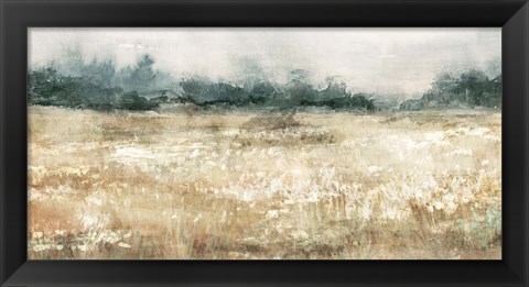 Framed Moody Field II Print