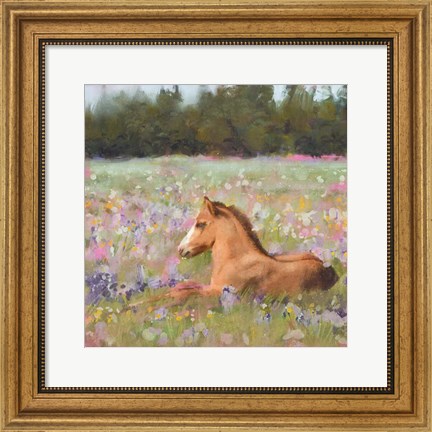 Framed Spring Time Foal Print