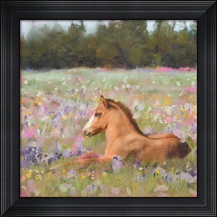 Framed Spring Time Foal Print