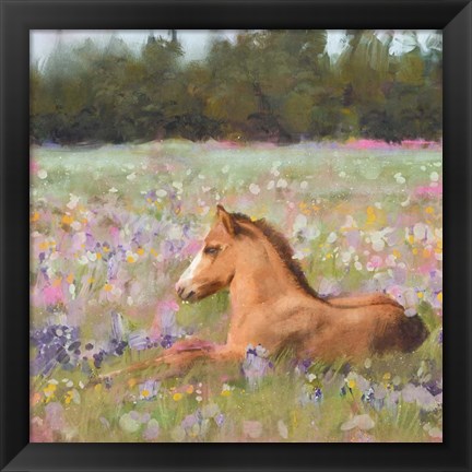 Framed Spring Time Foal Print