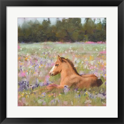 Framed Spring Time Foal Print