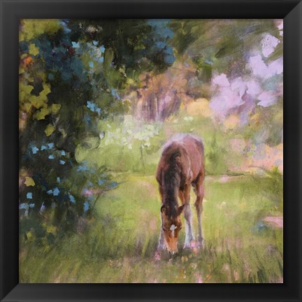 Framed Spring Time Foal II Print