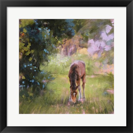 Framed Spring Time Foal II Print