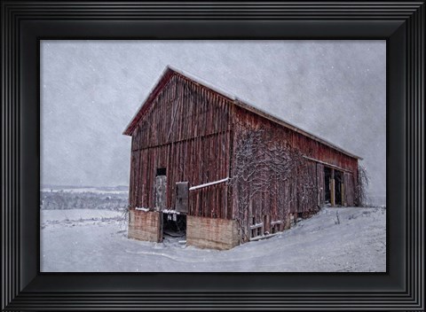 Framed Rustic Red Print