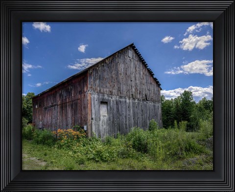Framed Country Lilies Print