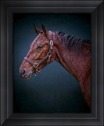 Framed Wild Soul Print
