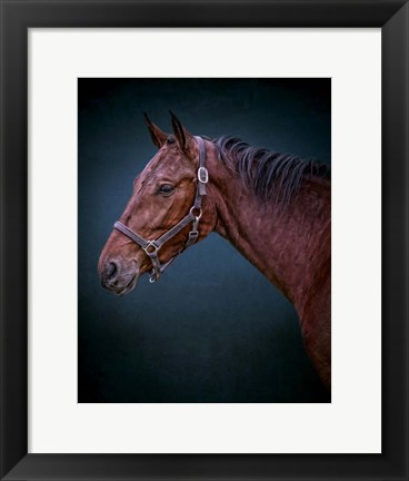 Framed Wild Soul Print
