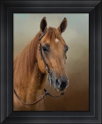 Framed Golden Splendor Print
